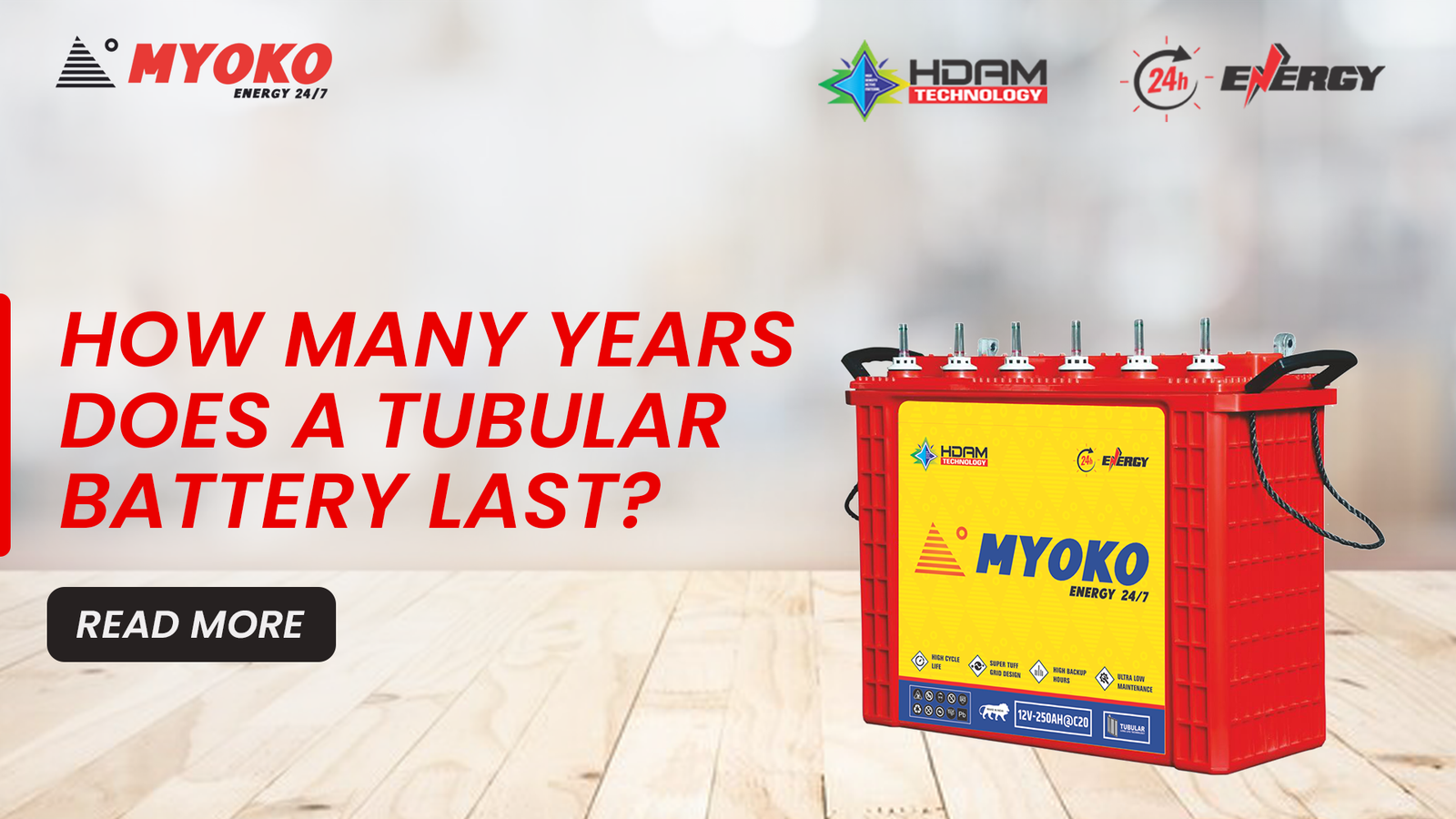 HOW MANY DOES A TUBULAR BATTERY LAST