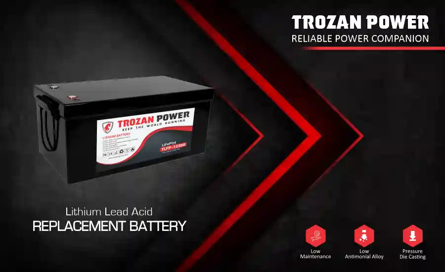 LITHIUM BATTERY REPLACEMENT