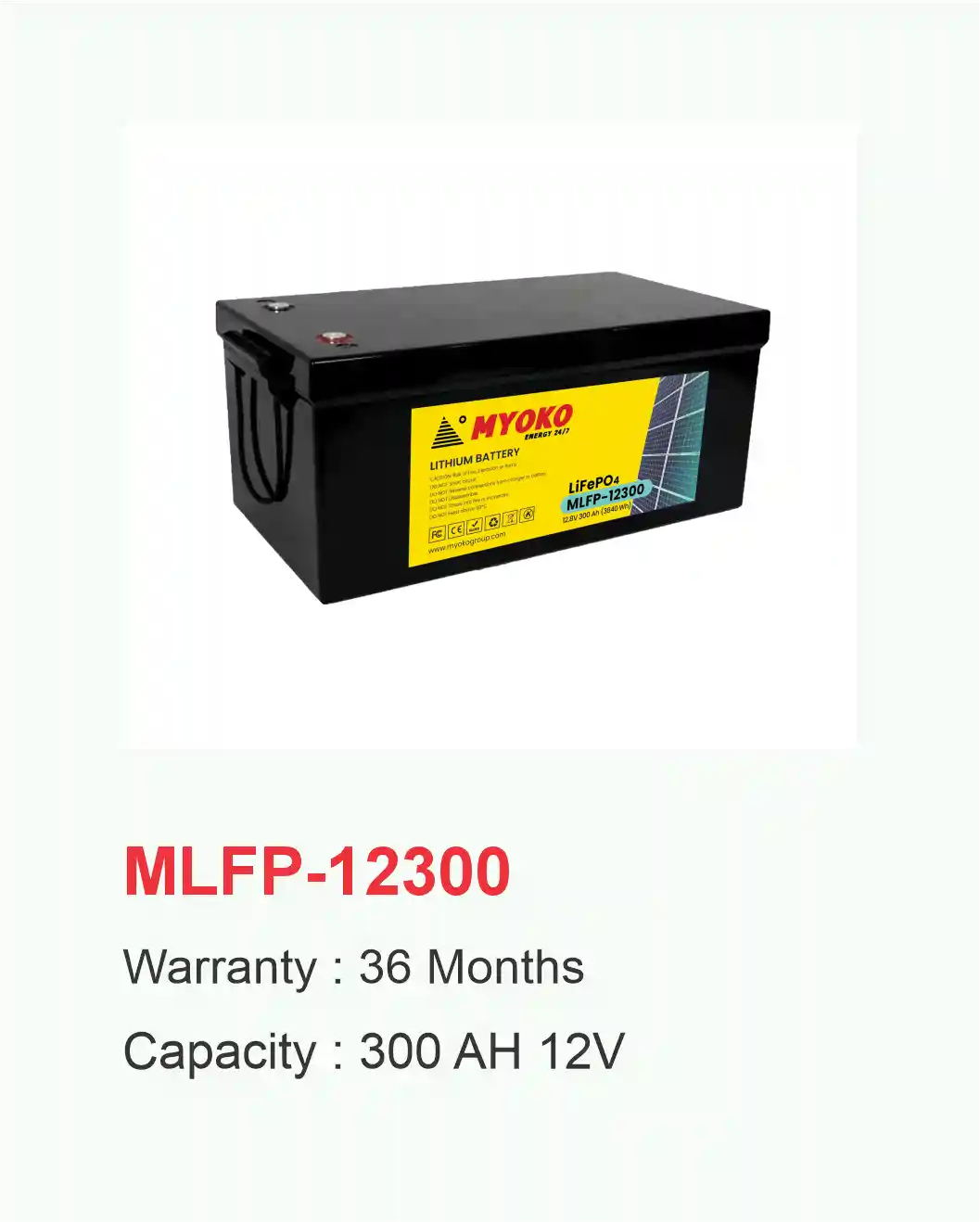 li-ion replacement battery card 12300